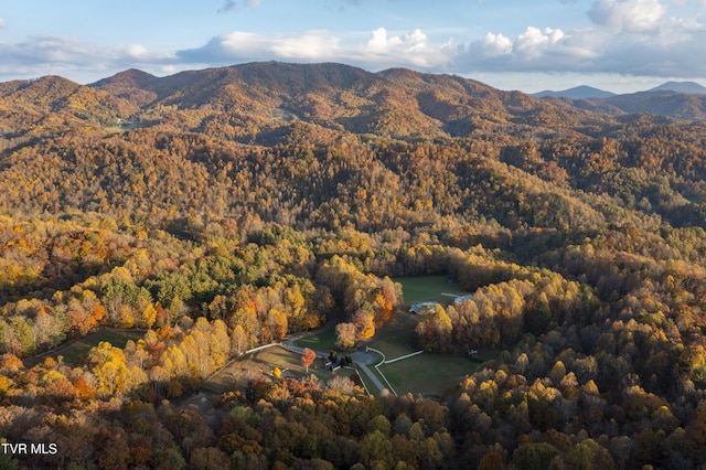 1008 Holly Meadow Rd, Mountain City, TN 37683 - photo 88