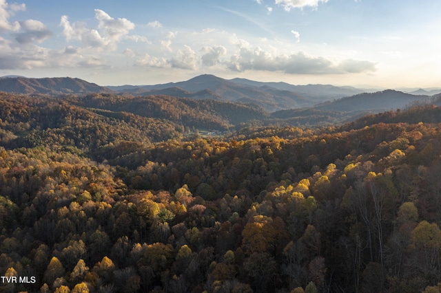 1008 Holly Meadow Rd, Mountain City, TN 37683 - photo 89