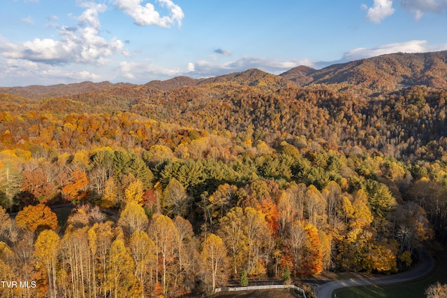 1008 Holly Meadow Rd, Mountain City, TN 37683 - photo 93