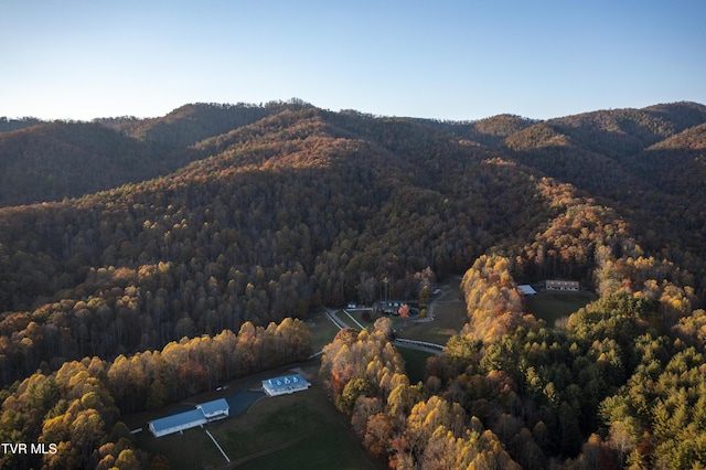 1008 Holly Meadow Rd, Mountain City, TN 37683 - photo 94
