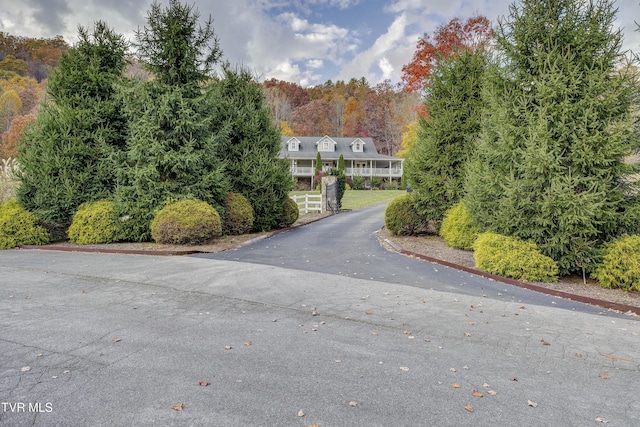 1008 Holly Meadow Rd, Mountain City, TN 37683 - photo 96