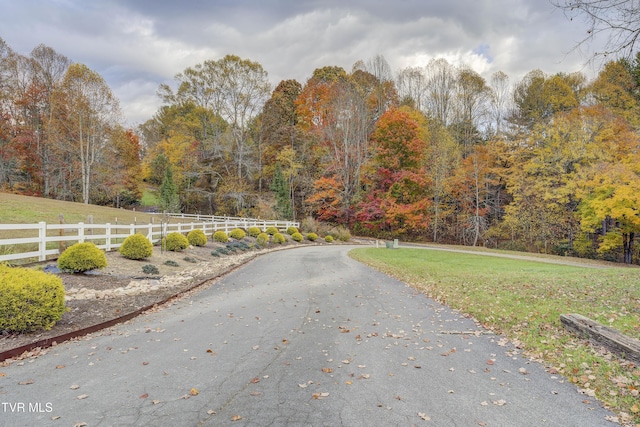 1008 Holly Meadow Rd, Mountain City, TN 37683 - photo 97