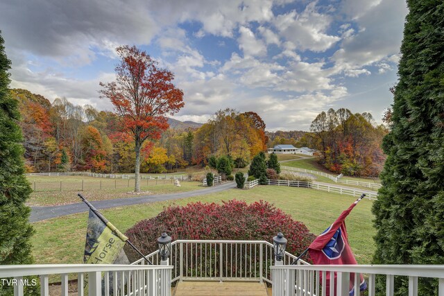 1008 Holly Meadow Rd, Mountain City, TN 37683 - photo 102
