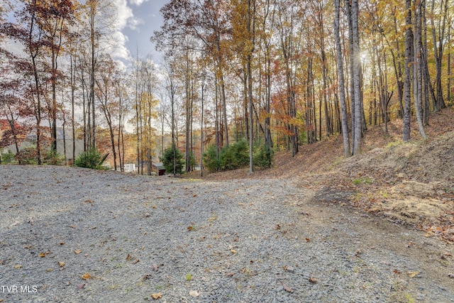 1008 Holly Meadow Rd, Mountain City, TN 37683 - photo 109