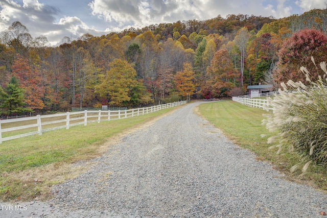 1008 Holly Meadow Rd, Mountain City, TN 37683 - photo 115
