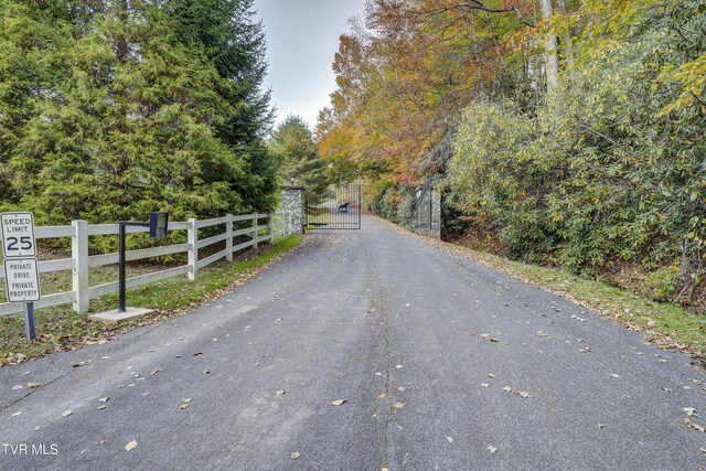 1008 Holly Meadow Rd, Mountain City, TN 37683 - photo 120
