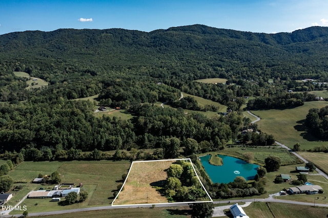 2305 Little Meadow Creek Rd, Greeneville TN, 37743 land for sale