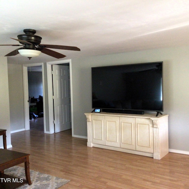 living room featuring wood-type flooring