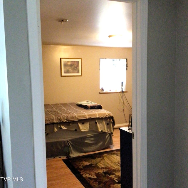 bedroom featuring wood-type flooring