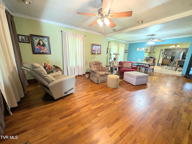 living room with ceiling fan with notable chandelier, wood-type flooring, and crown molding