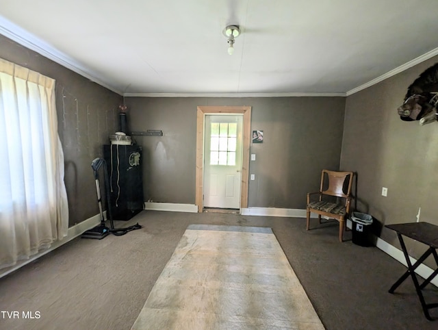 interior space with crown molding and carpet flooring