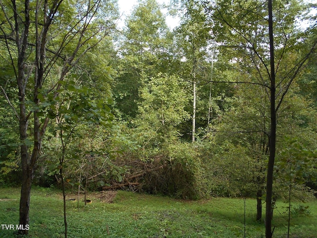 17532 Phillips Rd, Bristol, VA 24202