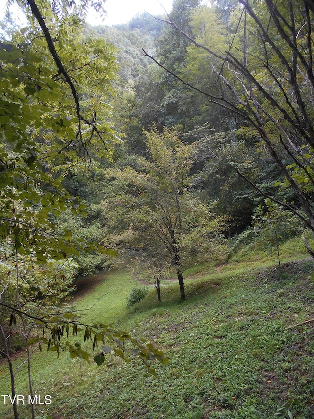 17532 Phillips Rd, Bristol, VA 24202