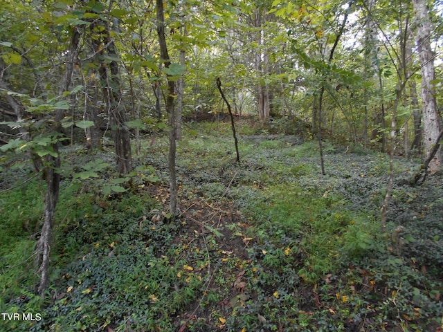 17532 Phillips Rd, Bristol, VA 24202