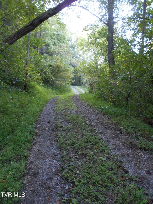17532 Phillips Rd, Bristol, VA 24202