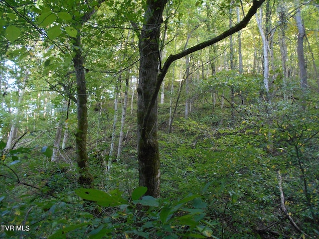 17532 Phillips Rd, Bristol, VA 24202