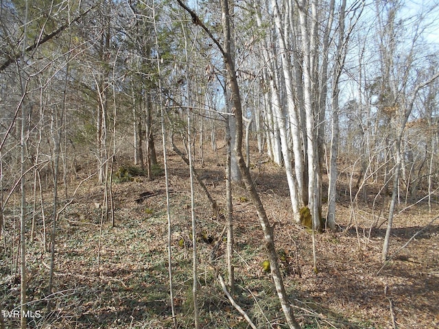 17532 Phillips Rd, Bristol, VA 24202
