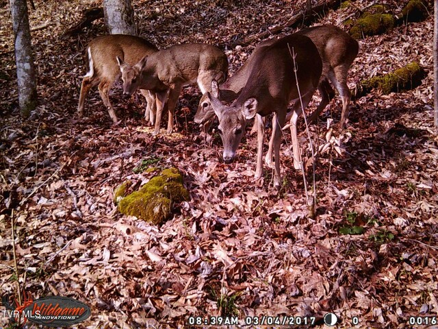 17532 Phillips Rd, Bristol, VA 24202