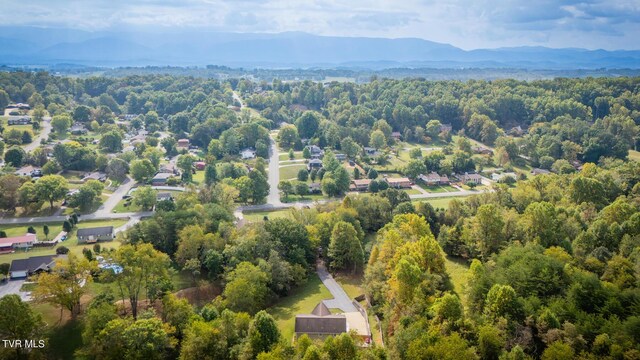 birds eye view of property with a mountain view