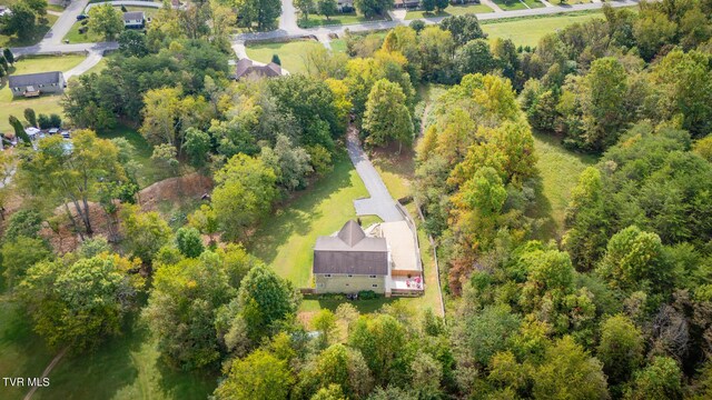 aerial view