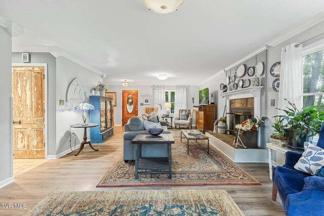 living room featuring crown molding, a fireplace, and hardwood / wood-style floors