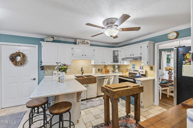 kitchen with sink, white cabinetry, appliances with stainless steel finishes, crown molding, and ceiling fan