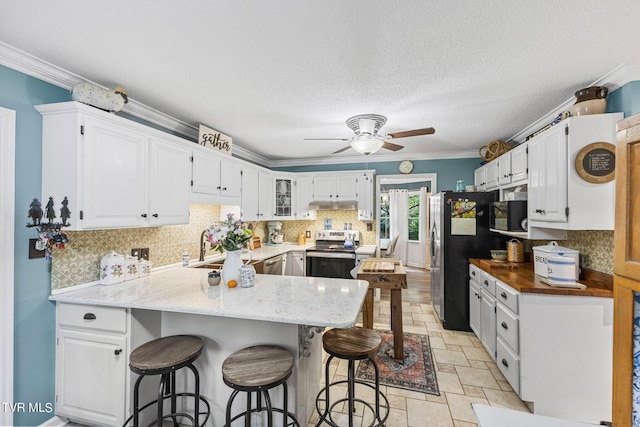 376 Cain Dr, Blountville, TN 37617 - kitchen with a peninsula, ornamental molding, stainless steel appliances, a ceiling fan, and backsplash