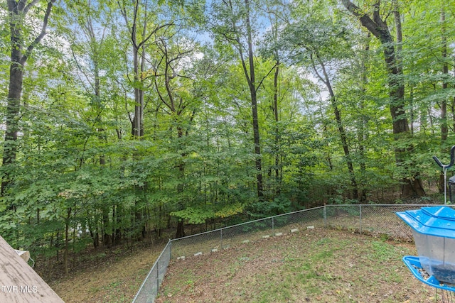 376 Cain Dr, Blountville, TN 37617 - view of yard with fence