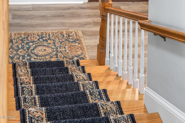 376 Cain Dr, Blountville, TN 37617 - staircase featuring wood finished floors