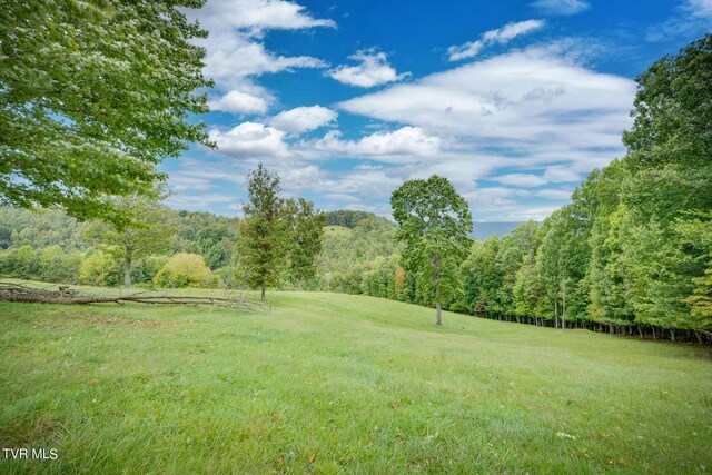 5596 Twin Springs Rd, Dungannon, VA 24245 - photo 2