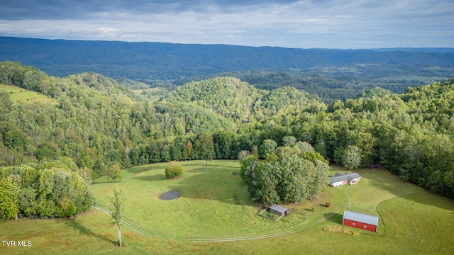 drone / aerial view with a mountain view