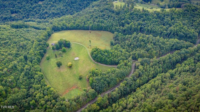 5596 Twin Springs Rd, Dungannon, VA 24245 - photo 39