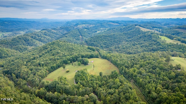 aerial view with a mountain view