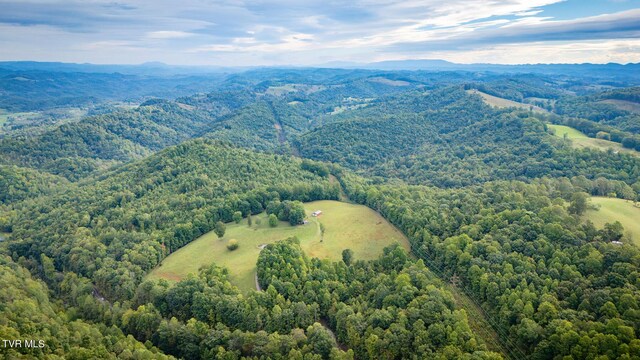 5596 Twin Springs Rd, Dungannon, VA 24245 - photo 41