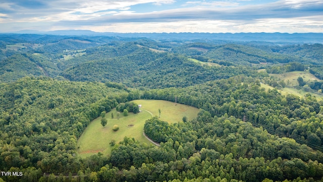 bird's eye view with a mountain view