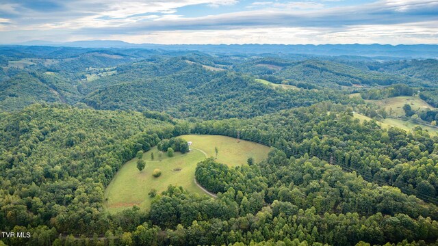 5596 Twin Springs Rd, Dungannon, VA 24245 - photo 42