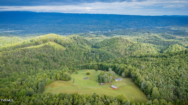 aerial view featuring a mountain view