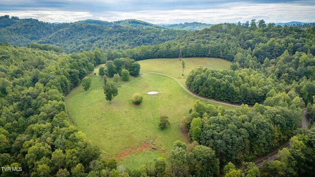 5596 Twin Springs Rd, Dungannon, VA 24245 - photo 44