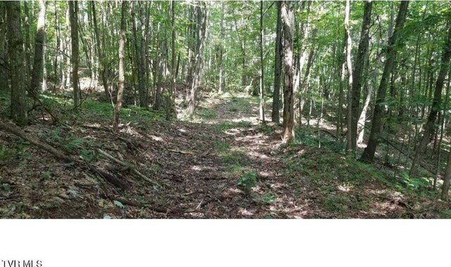 5596 Twin Springs Rd, Dungannon, VA 24245 - photo 48
