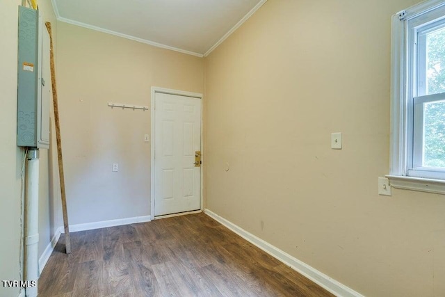 unfurnished room featuring a healthy amount of sunlight, dark wood-style flooring, and ornamental molding