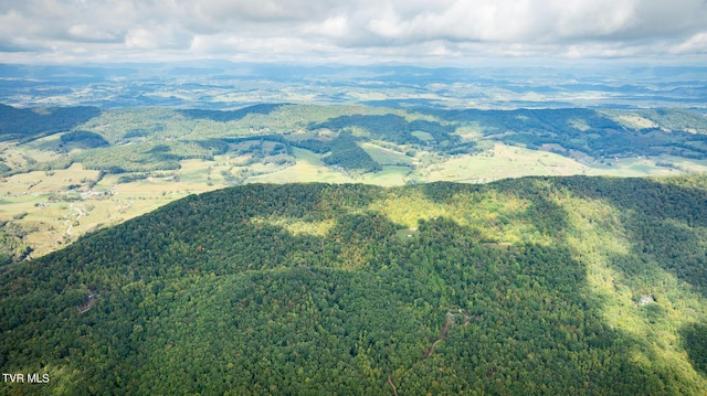 view of mountain feature featuring a forest view