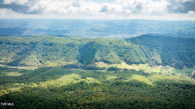 view of mountain feature with a forest view