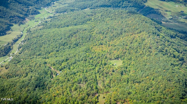 bird's eye view with a view of trees
