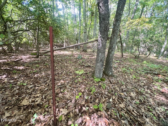 view of landscape featuring a forest view