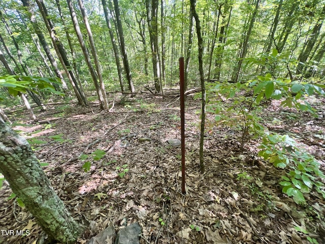 view of nature with a wooded view