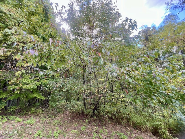view of landscape with a view of trees