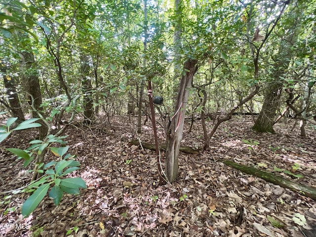 view of nature
