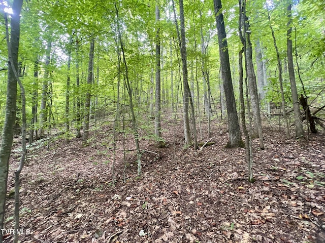 view of local wilderness featuring a wooded view