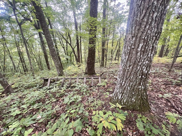 view of local wilderness featuring a forest view