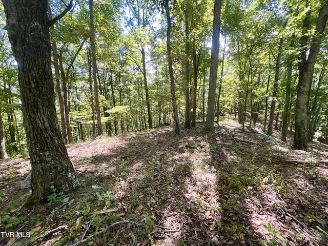 view of landscape featuring a forest view